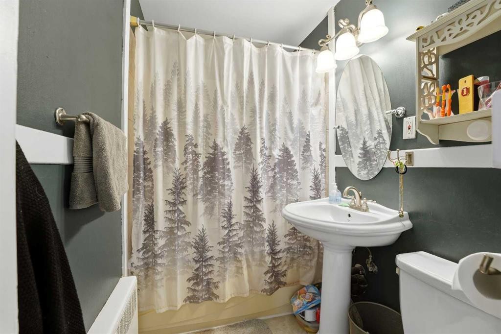 30 Poplar Crescent, Springbrook, AB - Indoor Photo Showing Bathroom