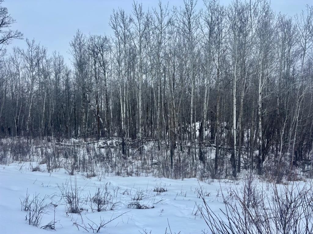26 50220 204 Range, Rural Beaver County, AB