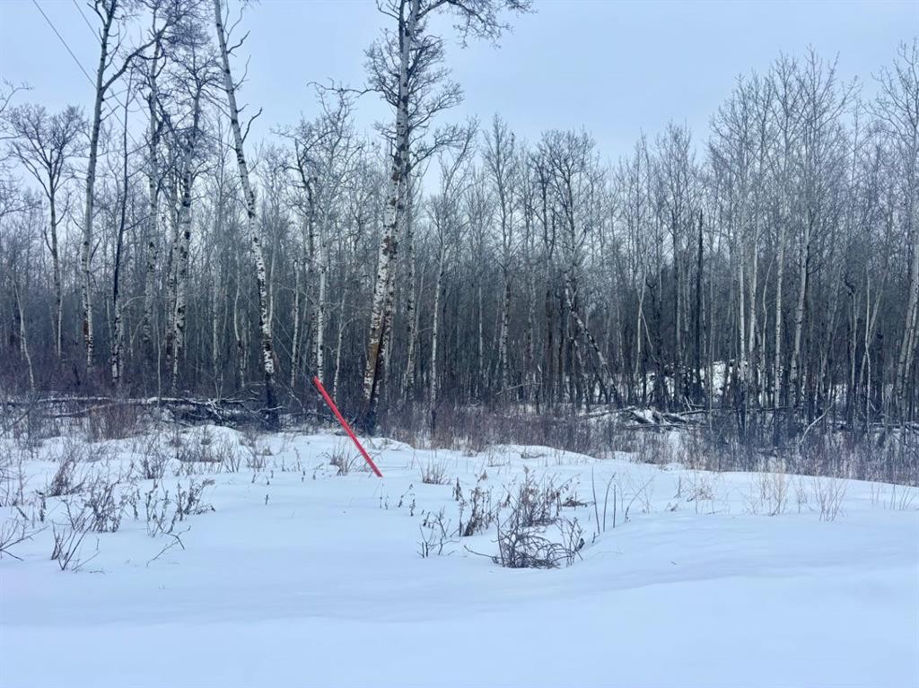 26 50220 204 Range, Rural Beaver County, AB