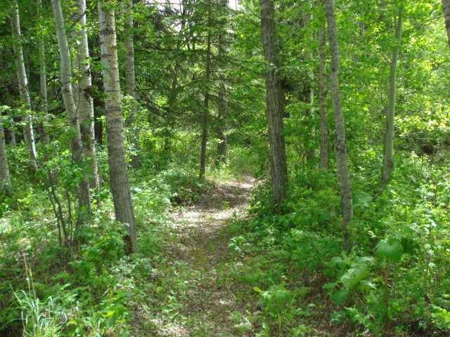 77 Crystal Springs Drive, Crystal Springs, AB