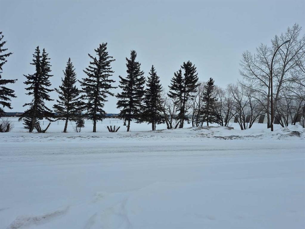 315 Haultain Avenue, Heisler, AB