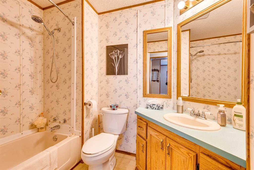 154 Devilder, Trochu, AB - Indoor Photo Showing Bathroom