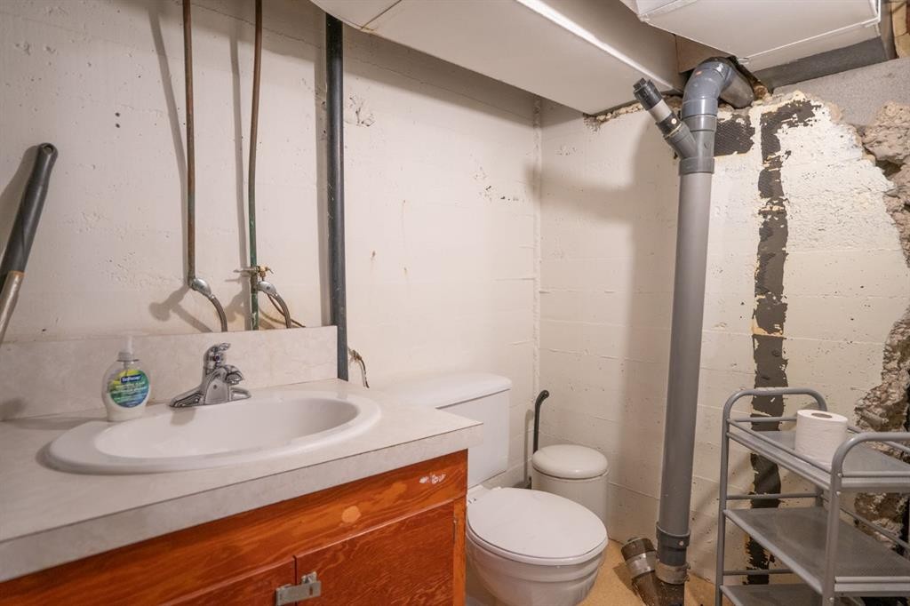 5223 Newson Boulevard, Bashaw, AB - Indoor Photo Showing Bathroom