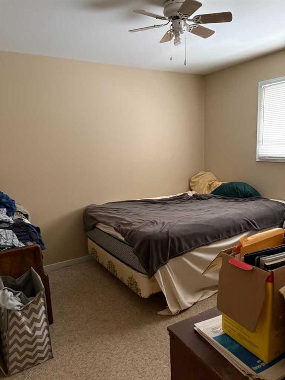 201 A&B First Street, Morrin, AB - Indoor Photo Showing Bedroom