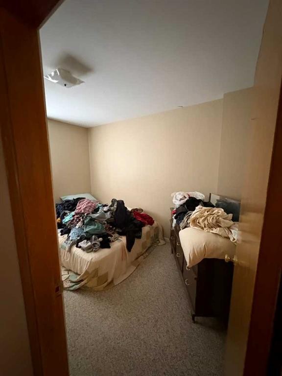 201 A&B First Street, Morrin, AB - Indoor Photo Showing Other Room