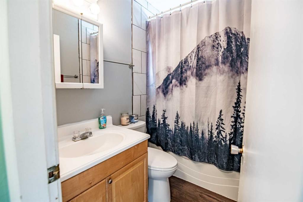 5903 56 Avenue, Red Deer, AB - Indoor Photo Showing Bathroom