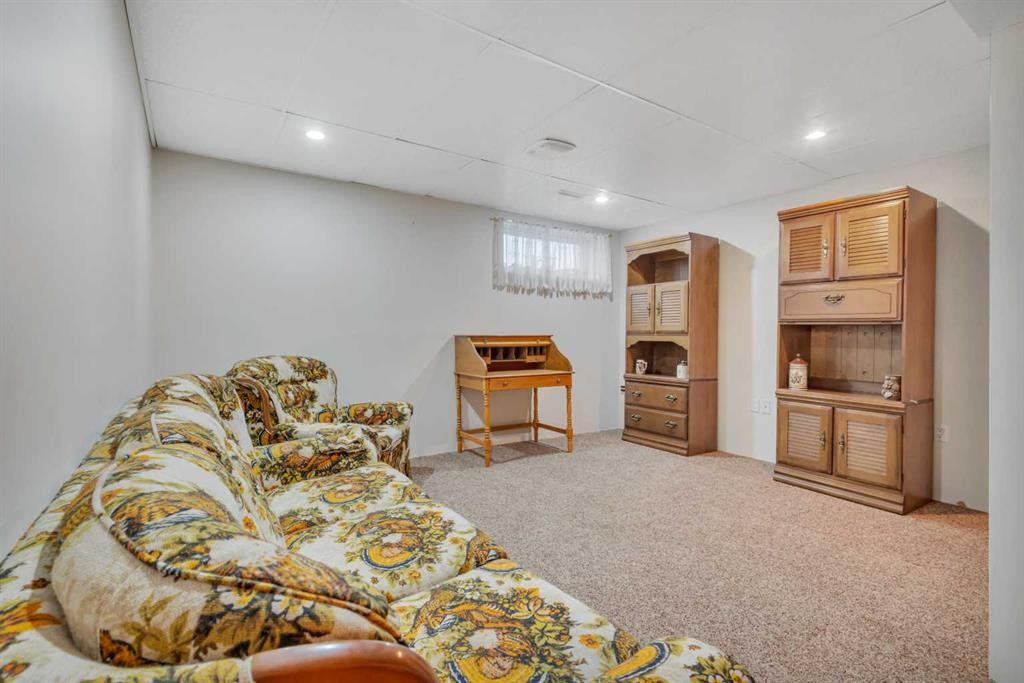6 Jenkins Drive, Red Deer, AB - Indoor Photo Showing Basement