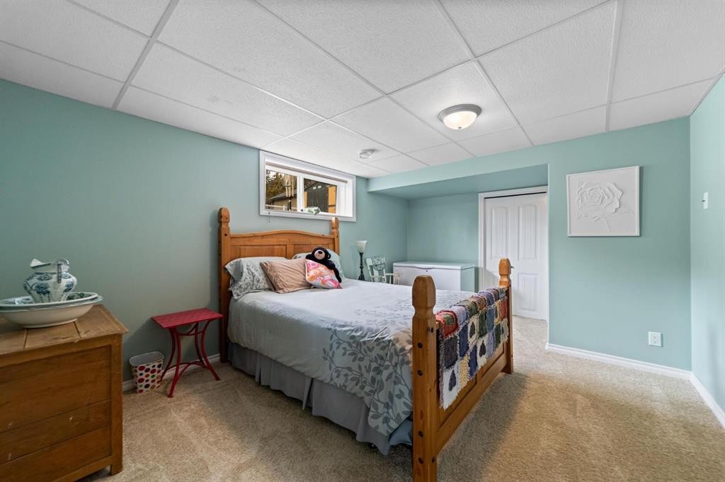 5331 55 Avenue, Bashaw, AB - Indoor Photo Showing Bedroom