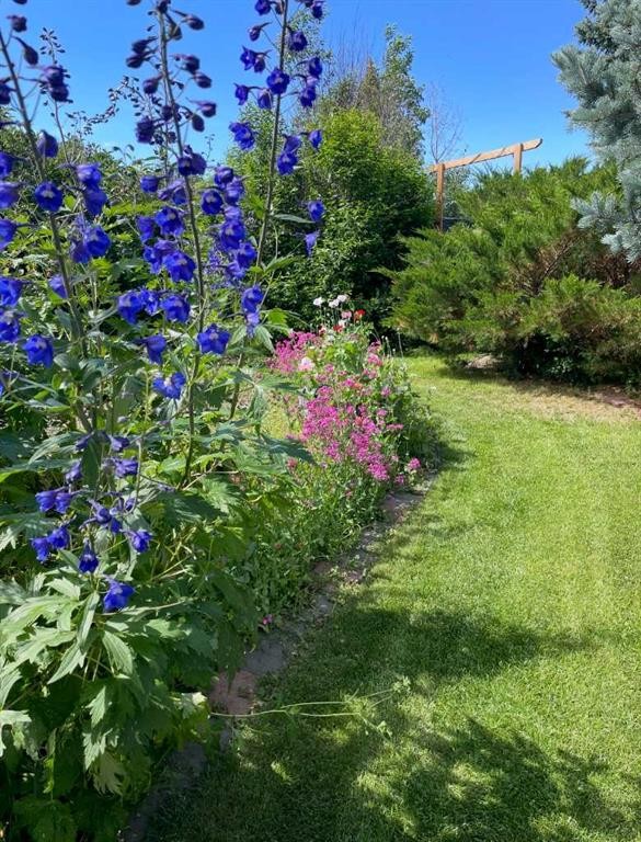 5508 49 Avenue, Alix, AB - Outdoor
