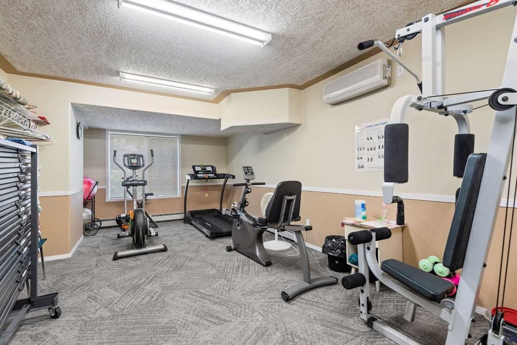 215-56 Carroll Crescent, Red Deer, AB - Indoor Photo Showing Gym Room