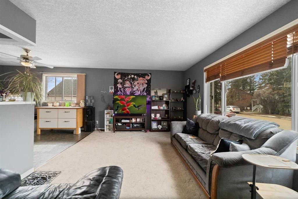 4925 49 Street, Killam, AB - Indoor Photo Showing Living Room