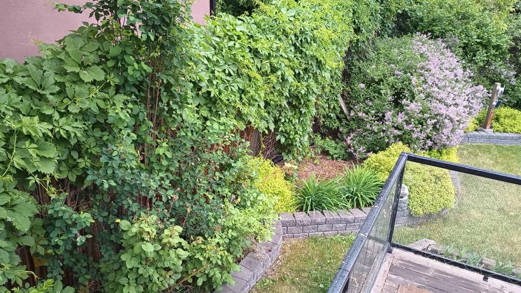 44 Norwest Close, Red Deer, AB - Outdoor