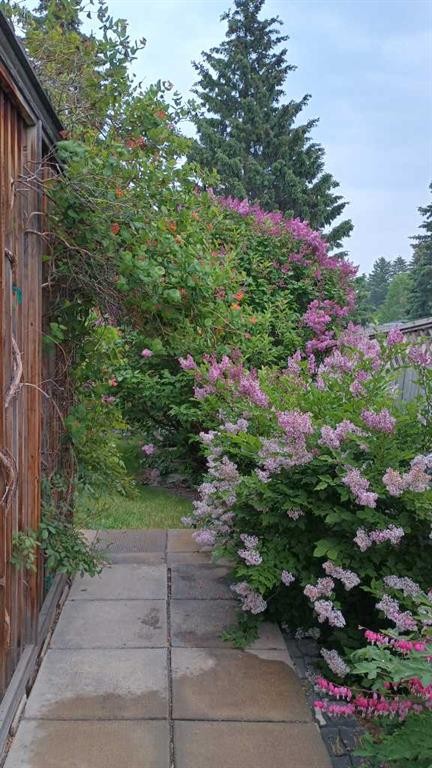 44 Norwest Close, Red Deer, AB - Outdoor