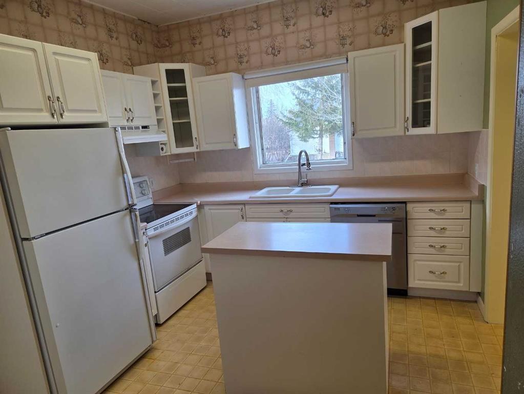 5221 49 Street, Castor, AB - Indoor Photo Showing Kitchen With Double Sink