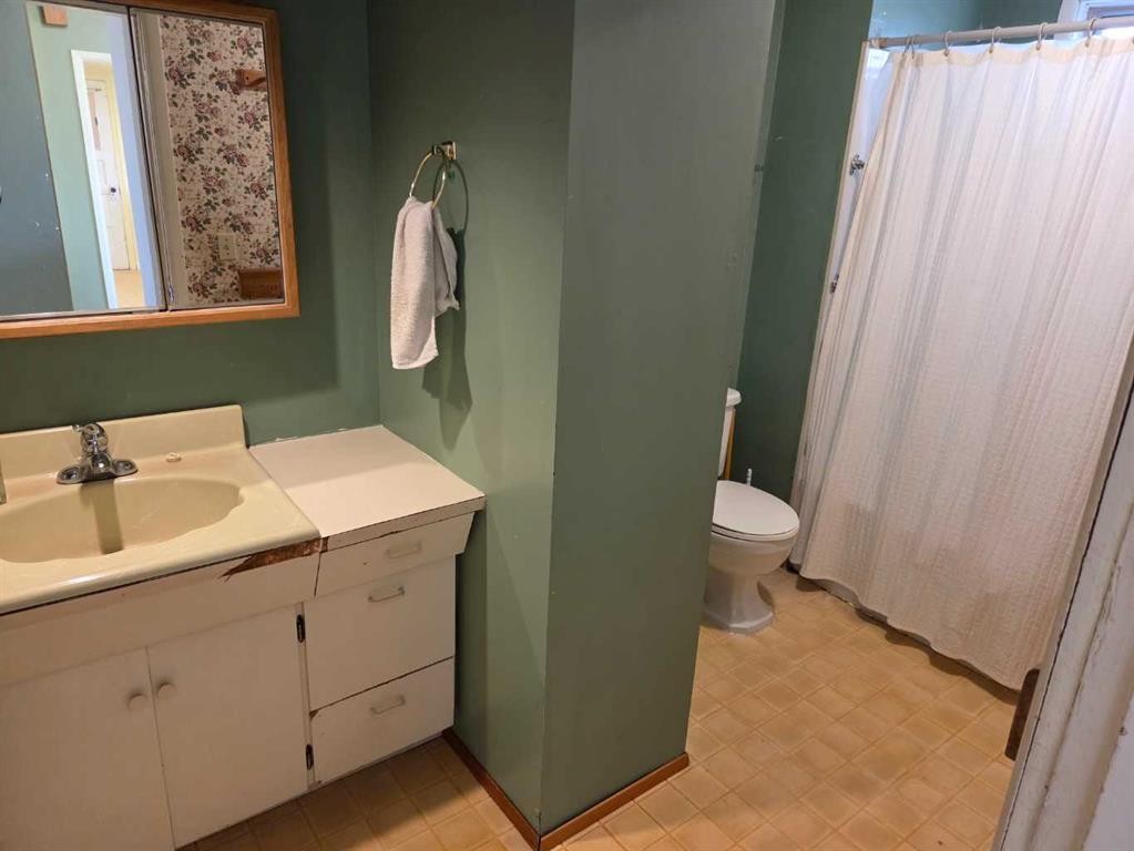 5221 49 Street, Castor, AB - Indoor Photo Showing Bathroom