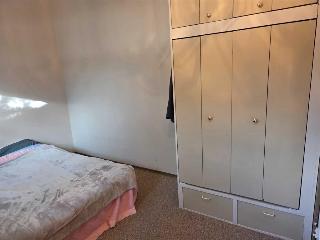 5221 49 Street, Castor, AB - Indoor Photo Showing Bedroom