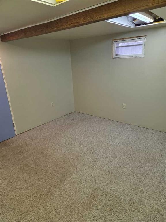 5221 49 Street, Castor, AB - Indoor Photo Showing Basement
