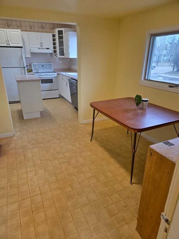 5221 49 Street, Castor, AB - Indoor Photo Showing Kitchen