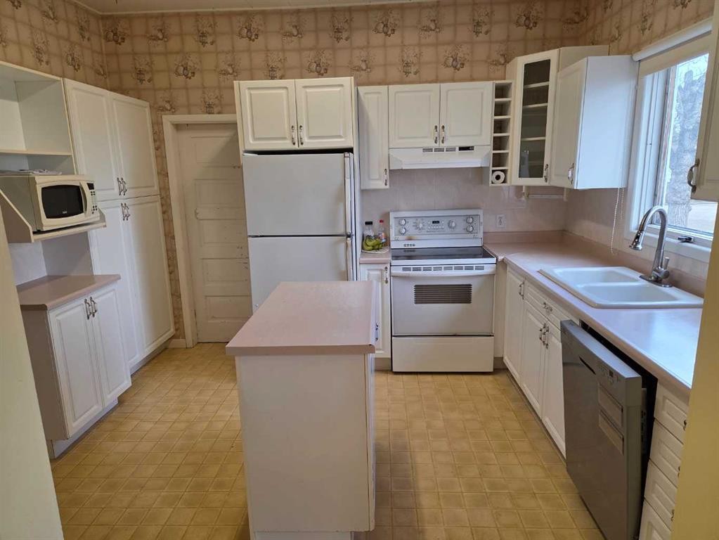 5221 49 Street, Castor, AB - Indoor Photo Showing Kitchen With Double Sink