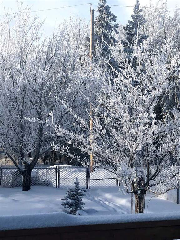 5 Sproule Place, Bashaw, AB - Outdoor