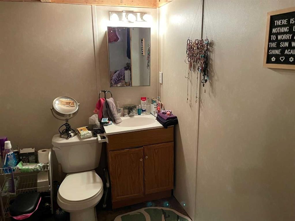 3409 52 Avenue, Red Deer, AB - Indoor Photo Showing Bathroom