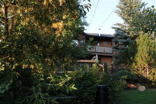 4643 29 Avenue Nw, Calgary, AB 