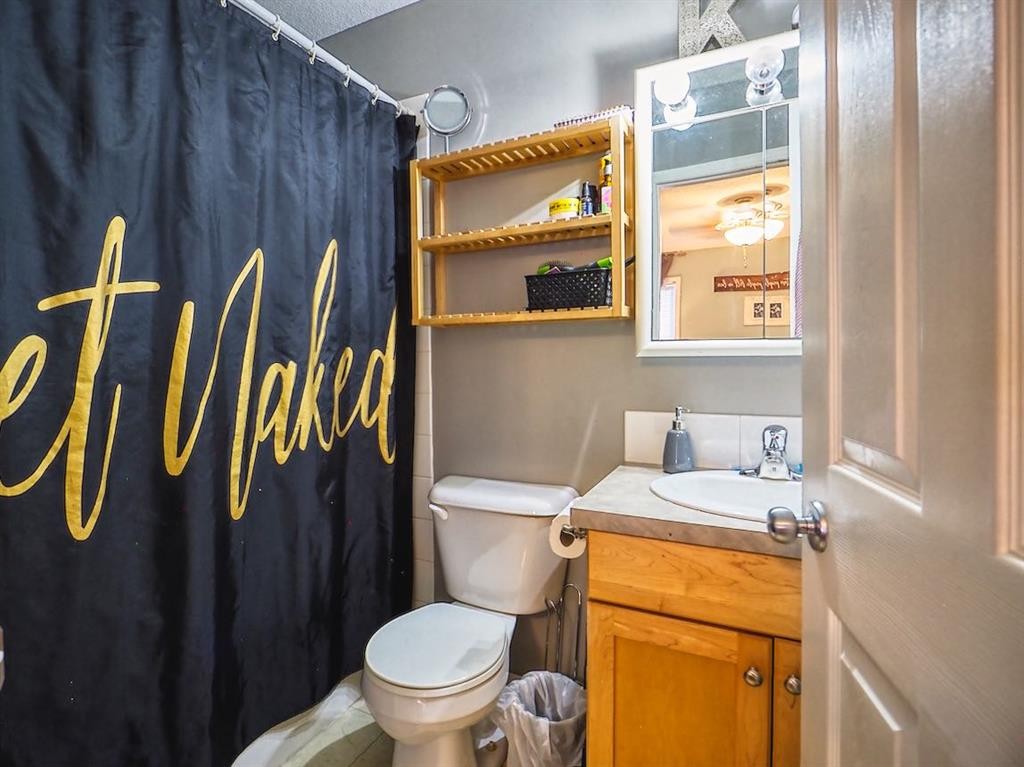 210 Bradford Crescent South, Three Hills, AB - Indoor Photo Showing Bathroom