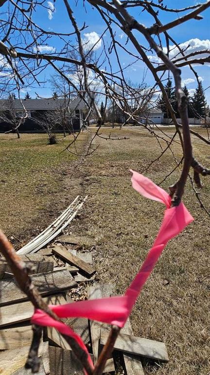 4946 Parkview Crescent, Castor, AB