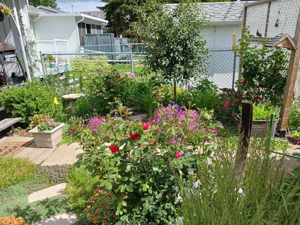 4741 49A Avenue, Lacombe, AB - Outdoor