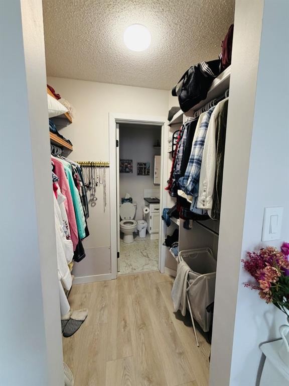 4741 49A Avenue, Lacombe, AB - Indoor With Storage