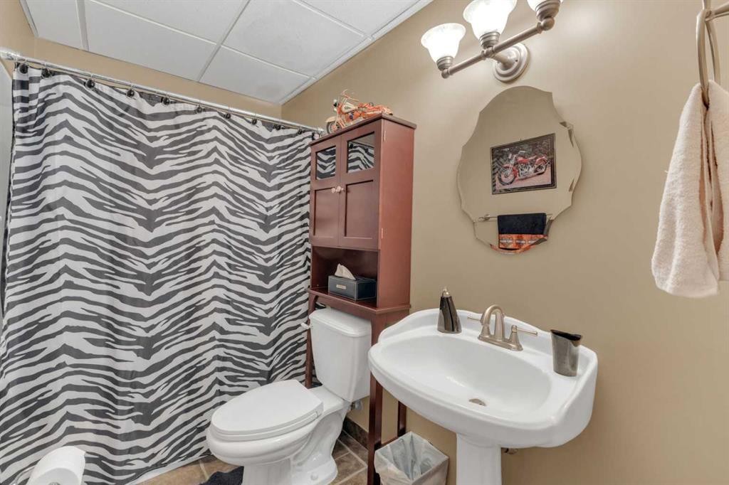 19 Heenan Crescent, Sylvan Lake, AB - Indoor Photo Showing Bathroom