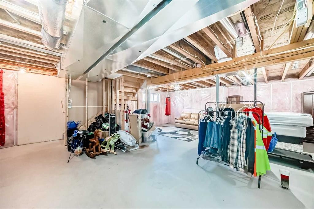 227 Avena Circle, Leduc, AB - Indoor Photo Showing Basement