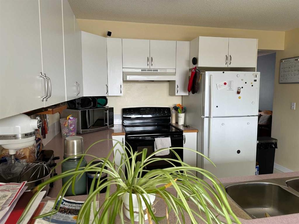 4804 Landsdown Avenue, Blackfalds, AB - Indoor Photo Showing Kitchen With Double Sink