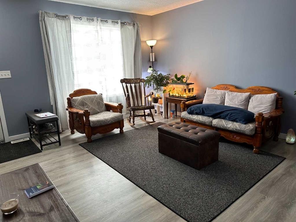 4804 Landsdown Avenue, Blackfalds, AB - Indoor Photo Showing Living Room