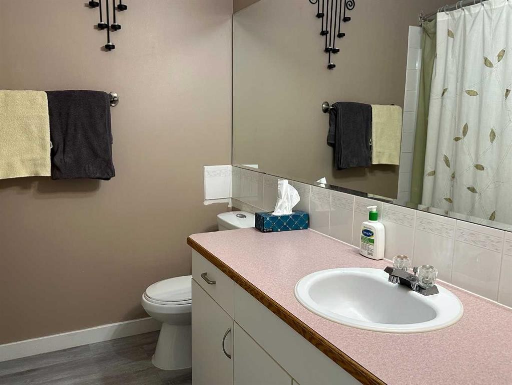 4804 Landsdown Avenue, Blackfalds, AB - Indoor Photo Showing Bathroom