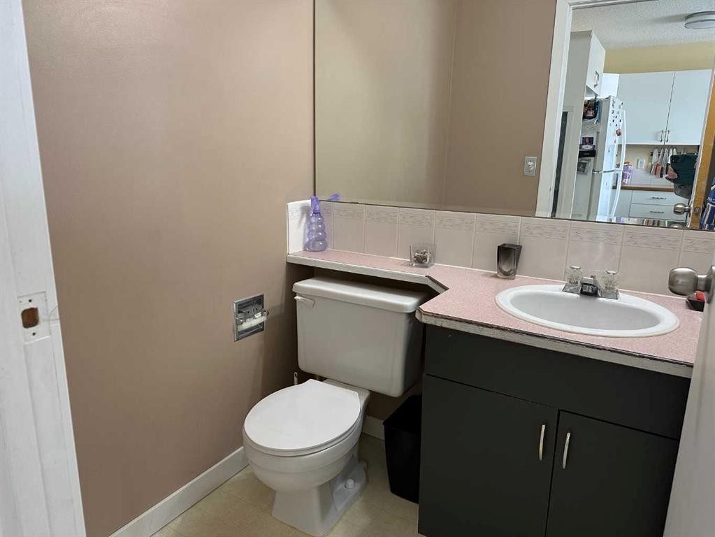 4804 Landsdown Avenue, Blackfalds, AB - Indoor Photo Showing Bathroom