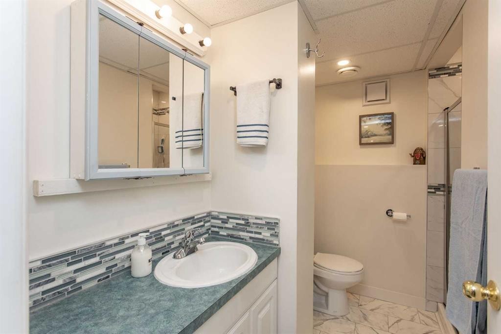 62 Nance Avenue, Red Deer, AB - Indoor Photo Showing Bathroom