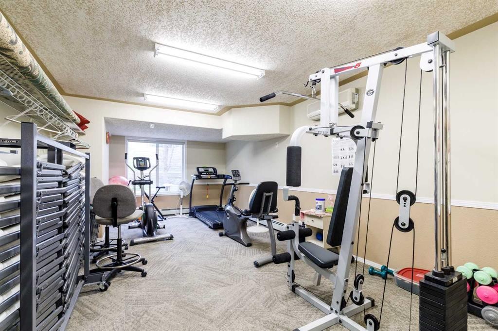 326-56 Carroll Crescent, Red Deer, AB - Indoor Photo Showing Gym Room