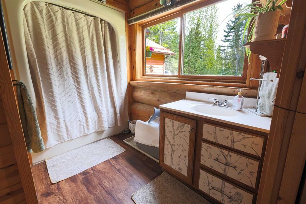 101 Clearwater Heights Drive, Rural Clearwater County, AB - Indoor Photo Showing Bathroom