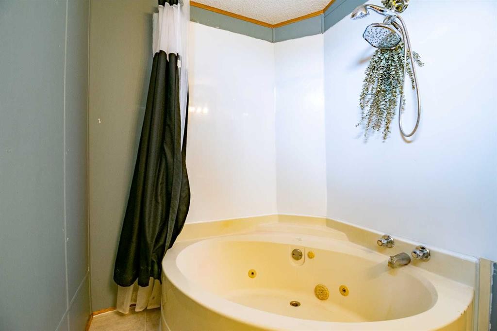 2 Elm Close, Erskine, AB - Indoor Photo Showing Bathroom