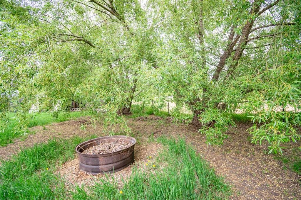 2 Elm Close, Erskine, AB - Outdoor