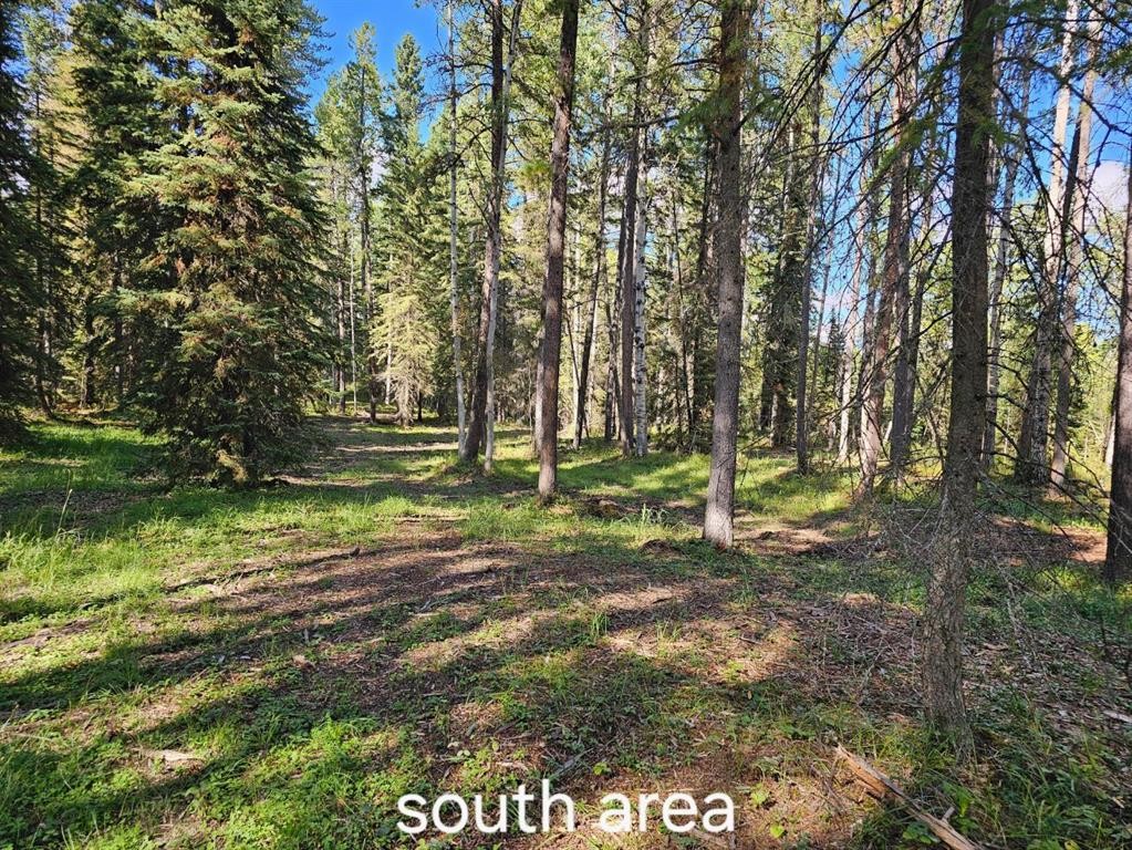 Pine Ridge Alley, Rural Clearwater County, AB
