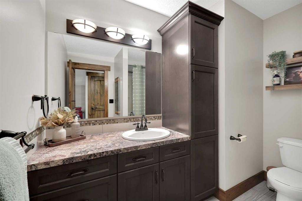 5518 52 Street Close, Bashaw, AB - Indoor Photo Showing Bathroom