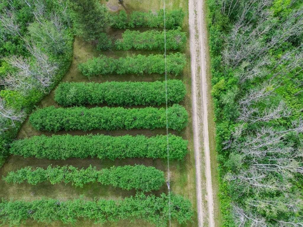 35321 Range Road 242, Rural Red Deer County, AB