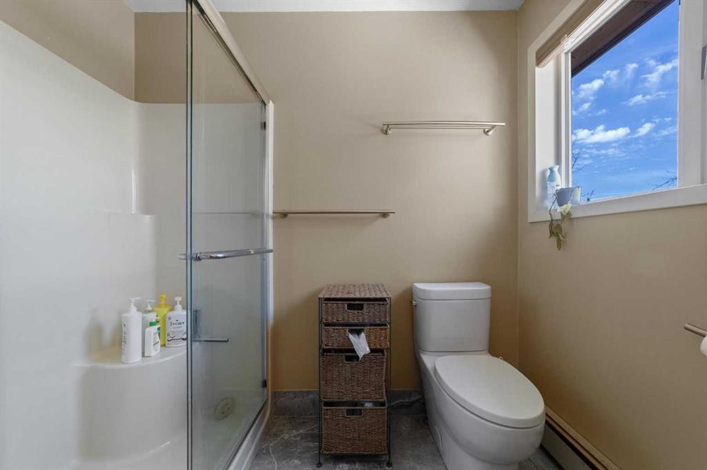 44402 Range Road 125, Rural Flagstaff County, AB - Indoor Photo Showing Bathroom