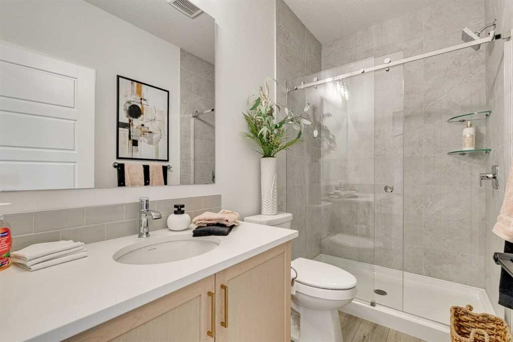 145 Snowberry Common Se, Calgary, AB - Indoor Photo Showing Bathroom