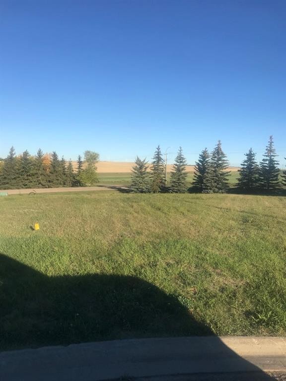 8 Regency, Trochu, AB