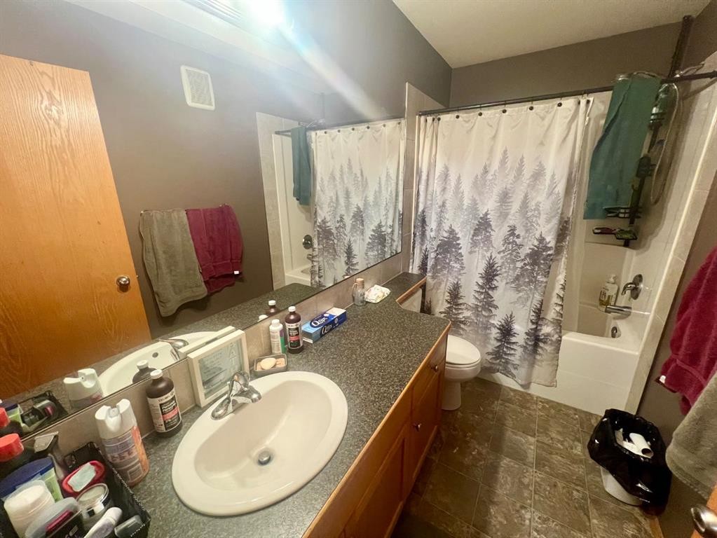 660 Red Oak Close, Rural Red Deer County, AB - Indoor Photo Showing Bathroom