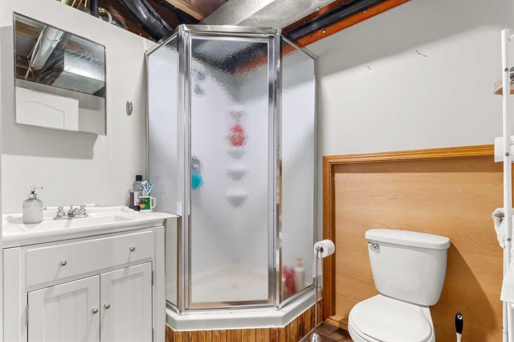 39320-261 Range Road, Rural Lacombe County, AB - Indoor Photo Showing Bathroom