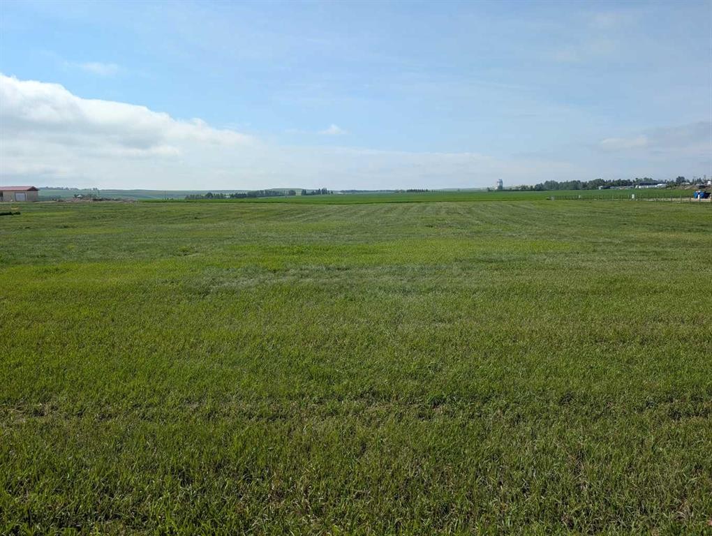 237 North, Trochu, AB